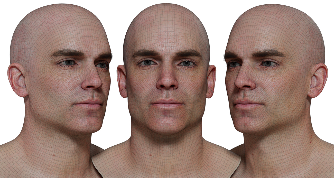 Enhance your digital creations with our male metamorph head scan. Our cutting-edge 3D scanning technology captures every detail of the human head, creating a one-of-a-kind model that is perfect for animation, gaming, and other digital projects. With a ZTL file as the source and FBX meshes included, customization is a breeze. Get the high-resolution details you need to take your projects to the next level.